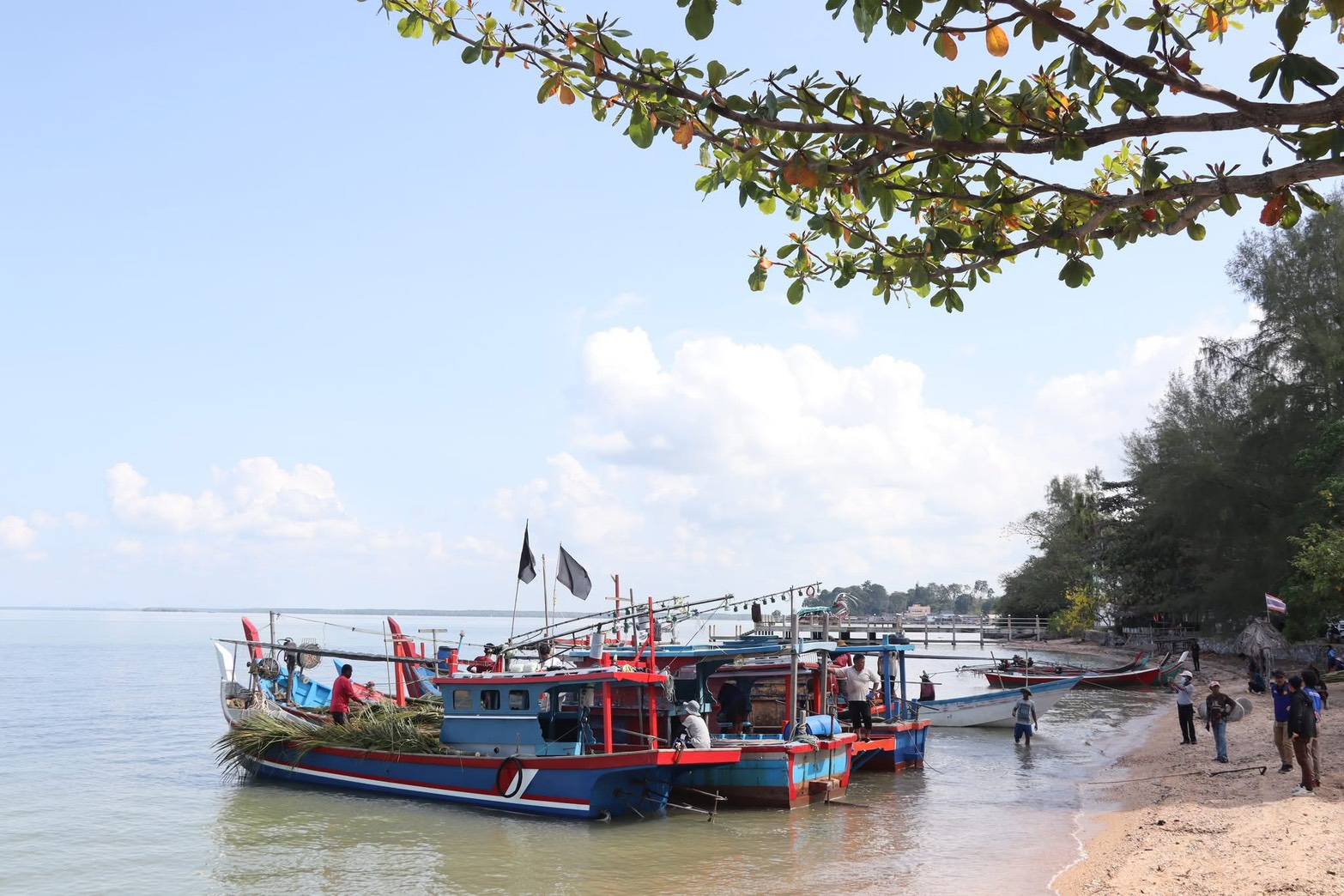 title - ปฏิรูปที่ดินจังหวัดสตูล ร่วมกิจกรรมปล่อยเรือประมงเพื่อจัดวางบ้านปลา (ซั้งกอ)